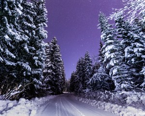 20170104-img_3512