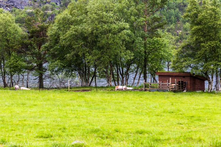 20170627-_MG_7594.jpg