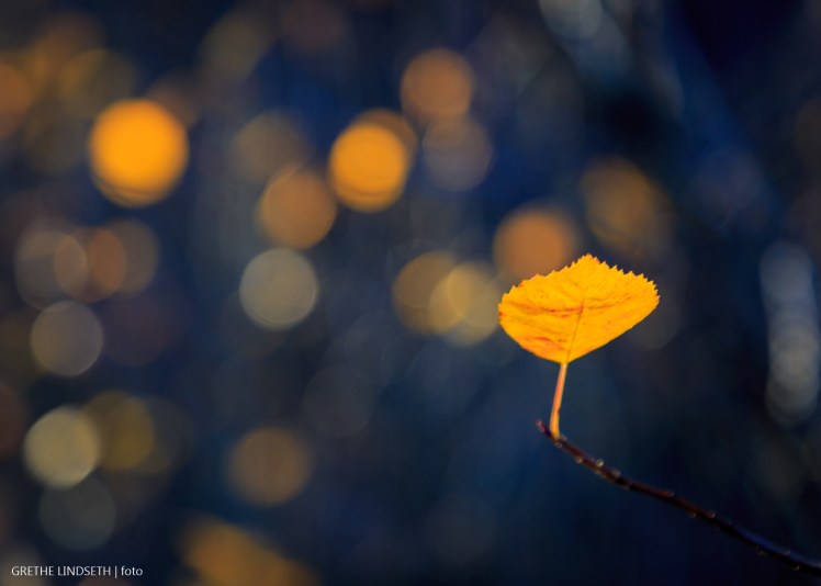 20171022-_MG_5149
