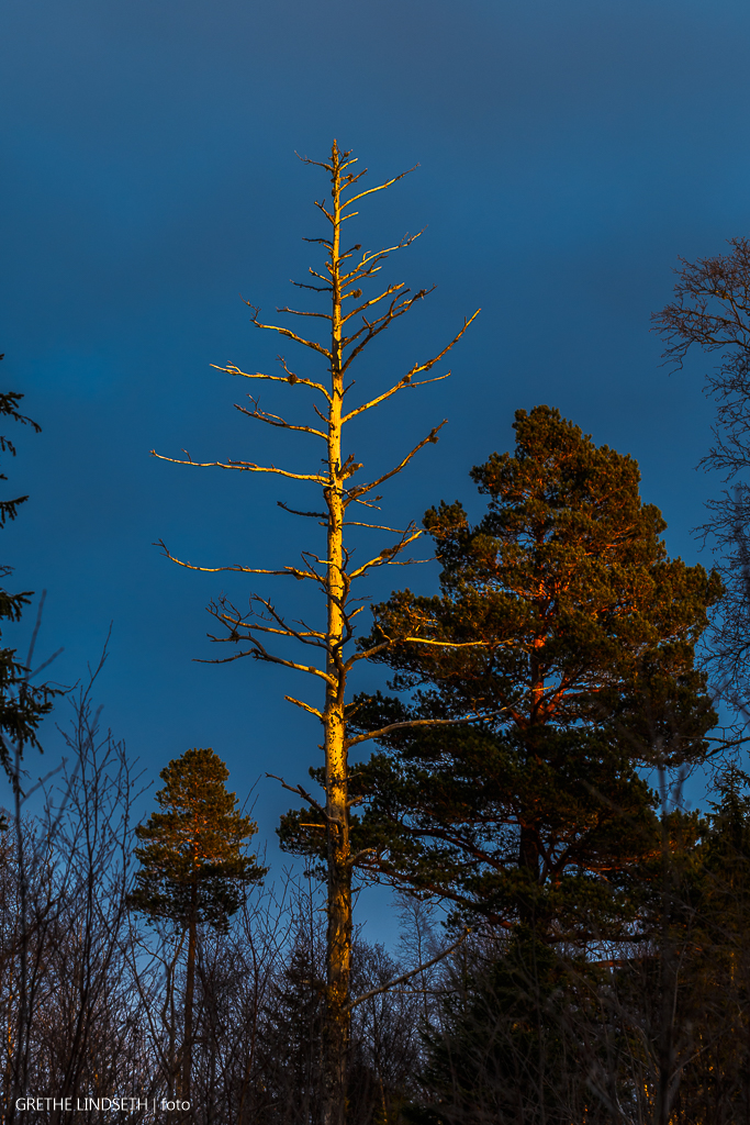 20171119-_MG_6735