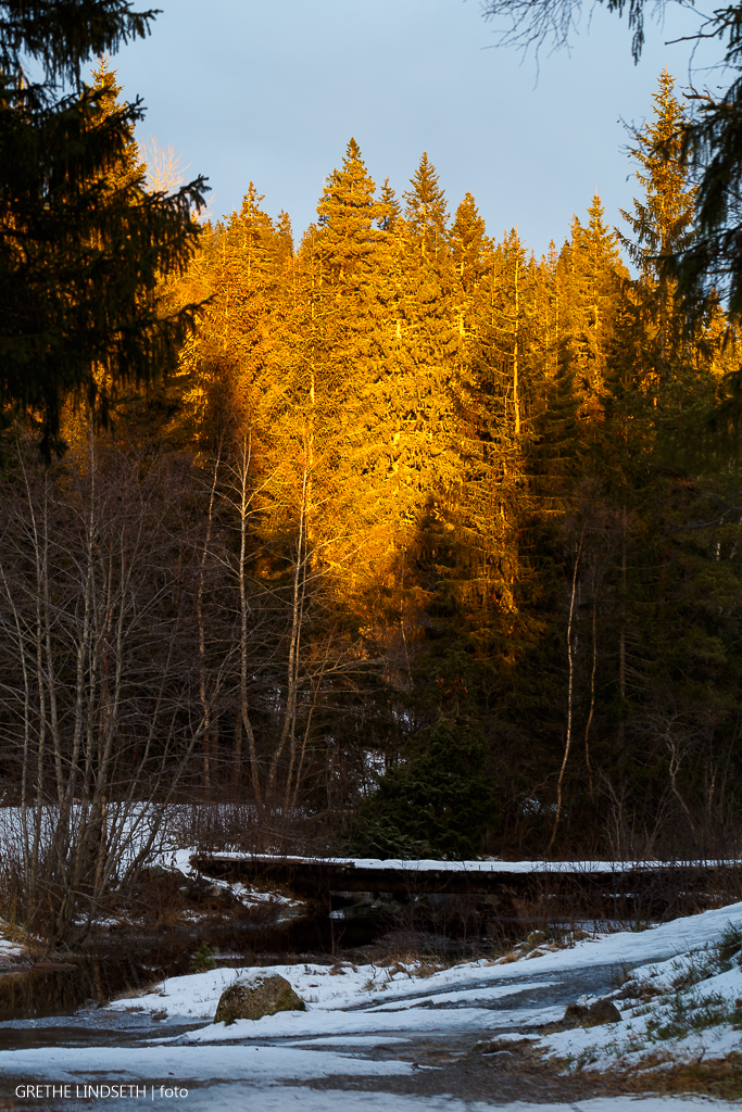 20171119-_MG_6748