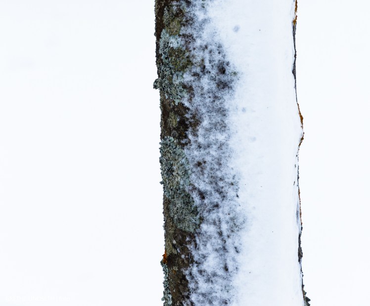 20180107-_MG_9023