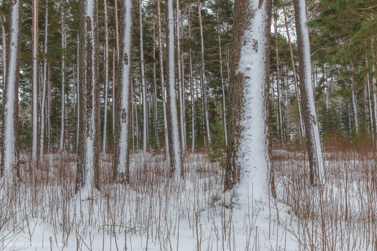 20180107-_MG_9052
