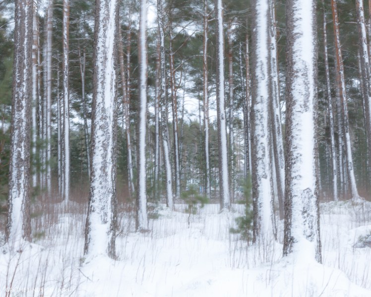 20180107-_MG_9067
