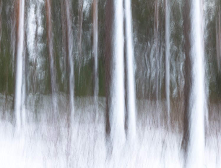 20180107-_MG_9072