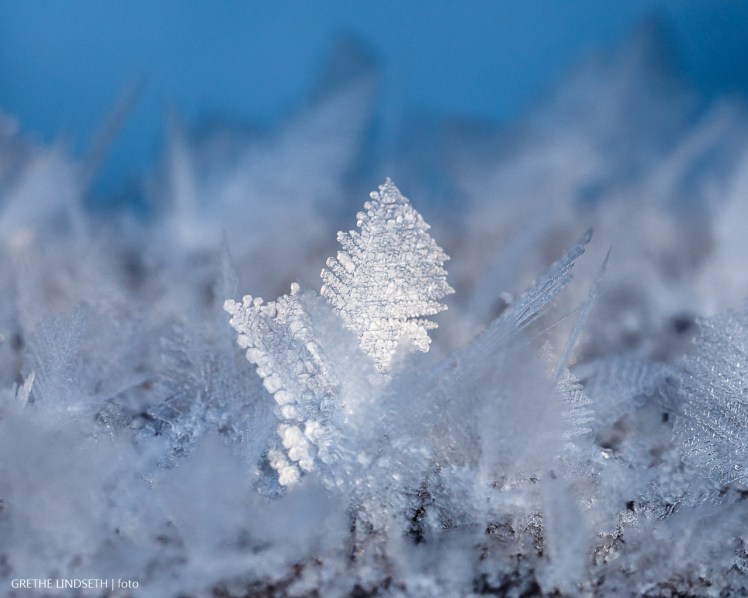 20180121-_MG_9739