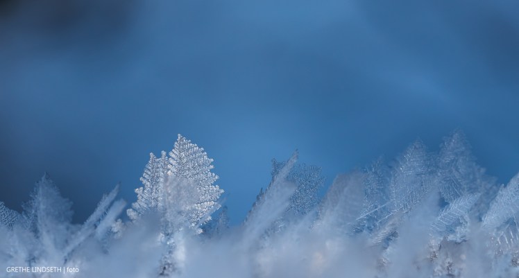 20180121-_MG_9754