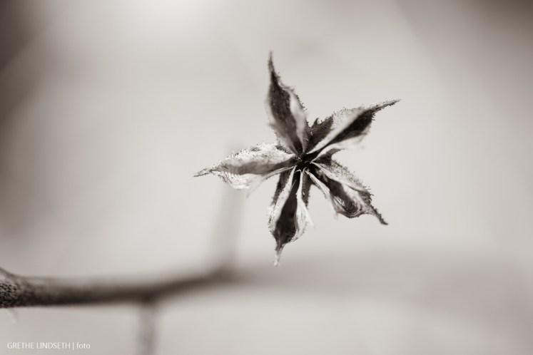 20180415-_88A3155