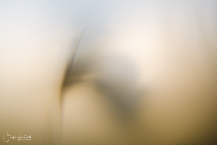 _88A7161