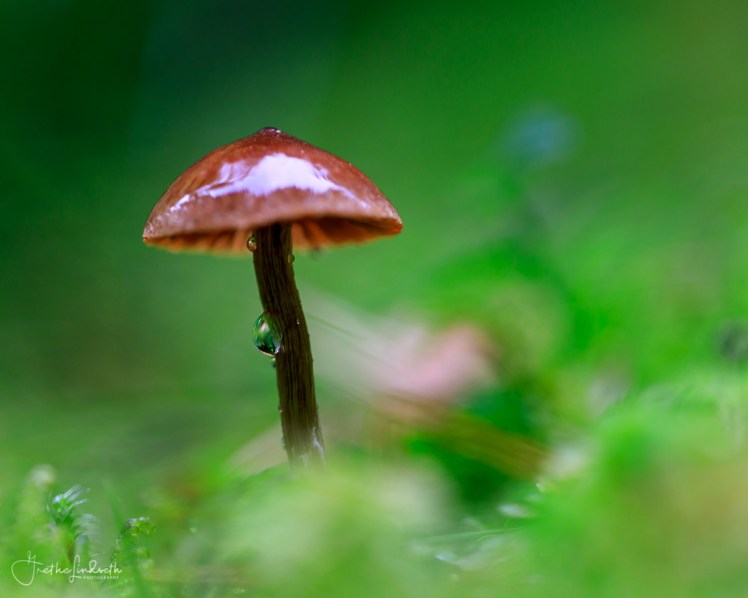 2018091220180912-_88A0022