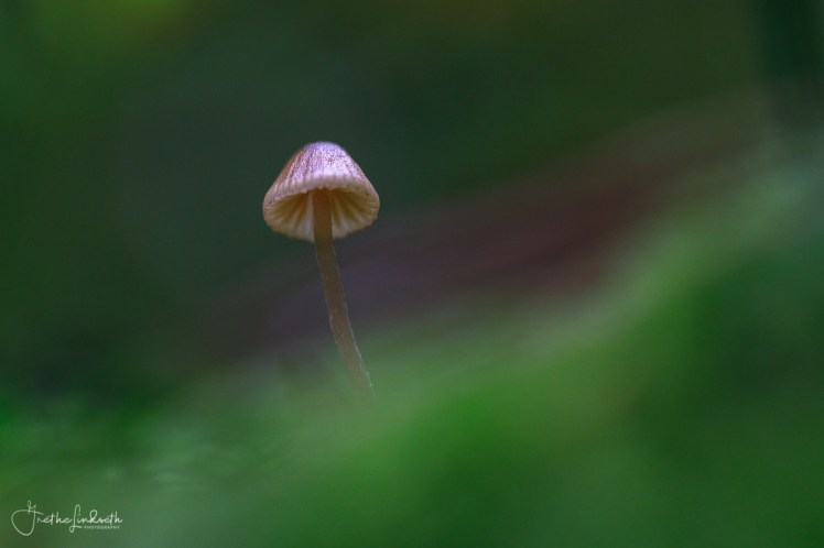2018091220180912-_88A0100