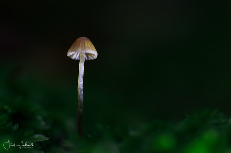 2018091220180912-_88A0131