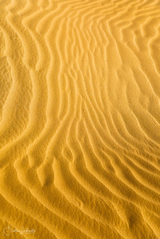 2018111120181111-_88A4522